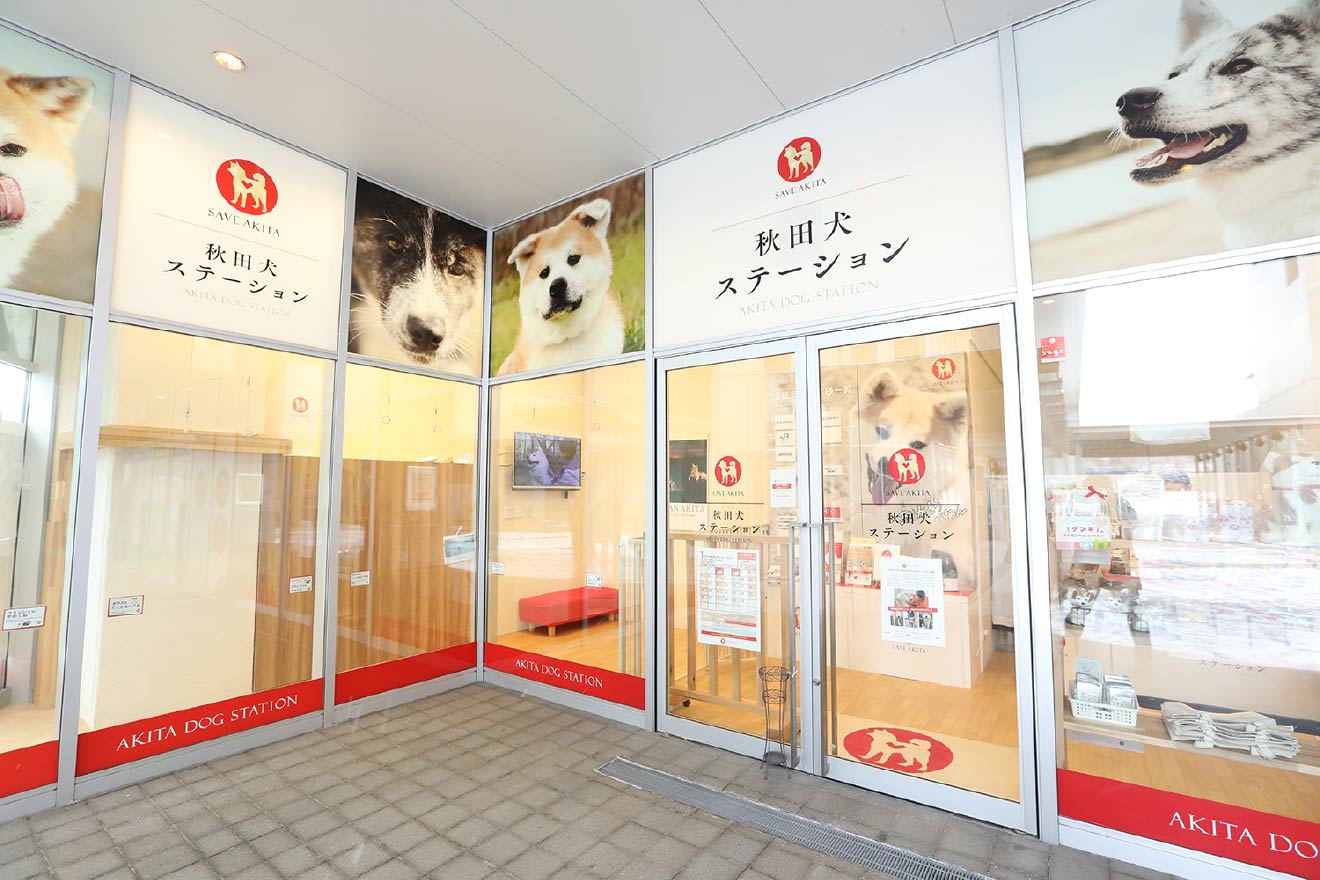 秋田犬ステーション