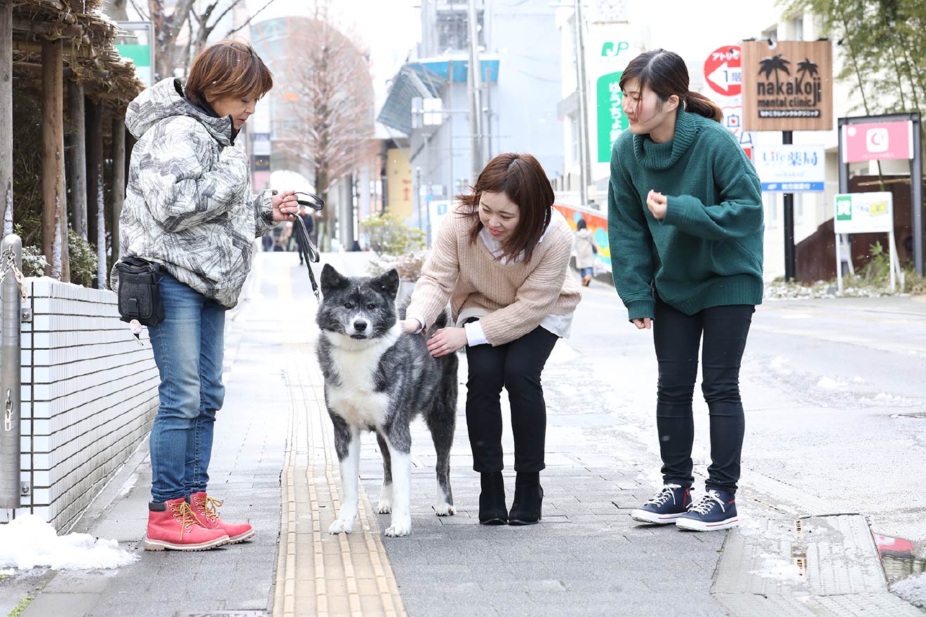 秋田犬ステーション