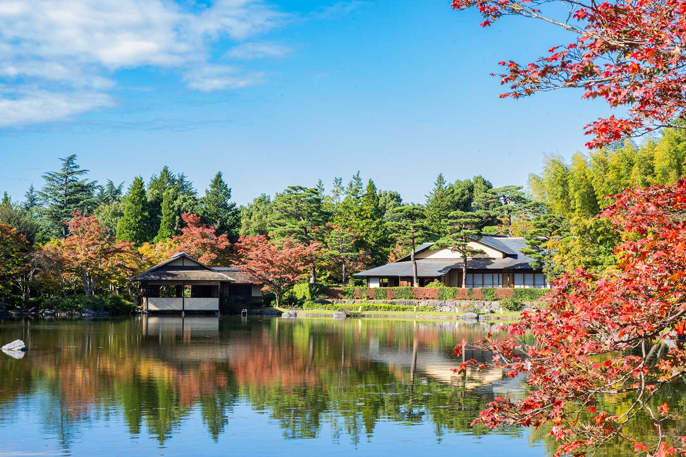 国営昭和記念公園