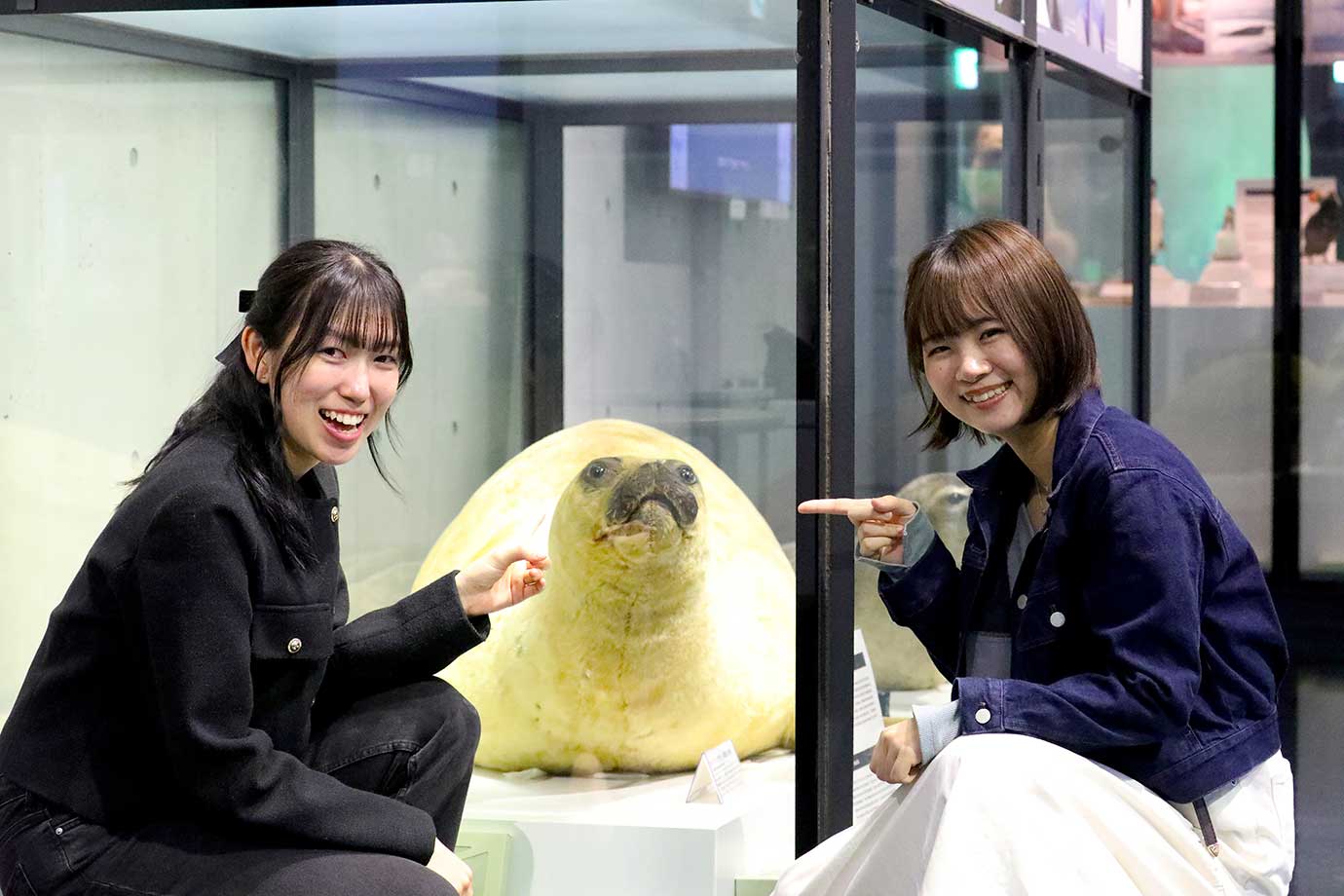 国立極地研究所 南極・北極科学館