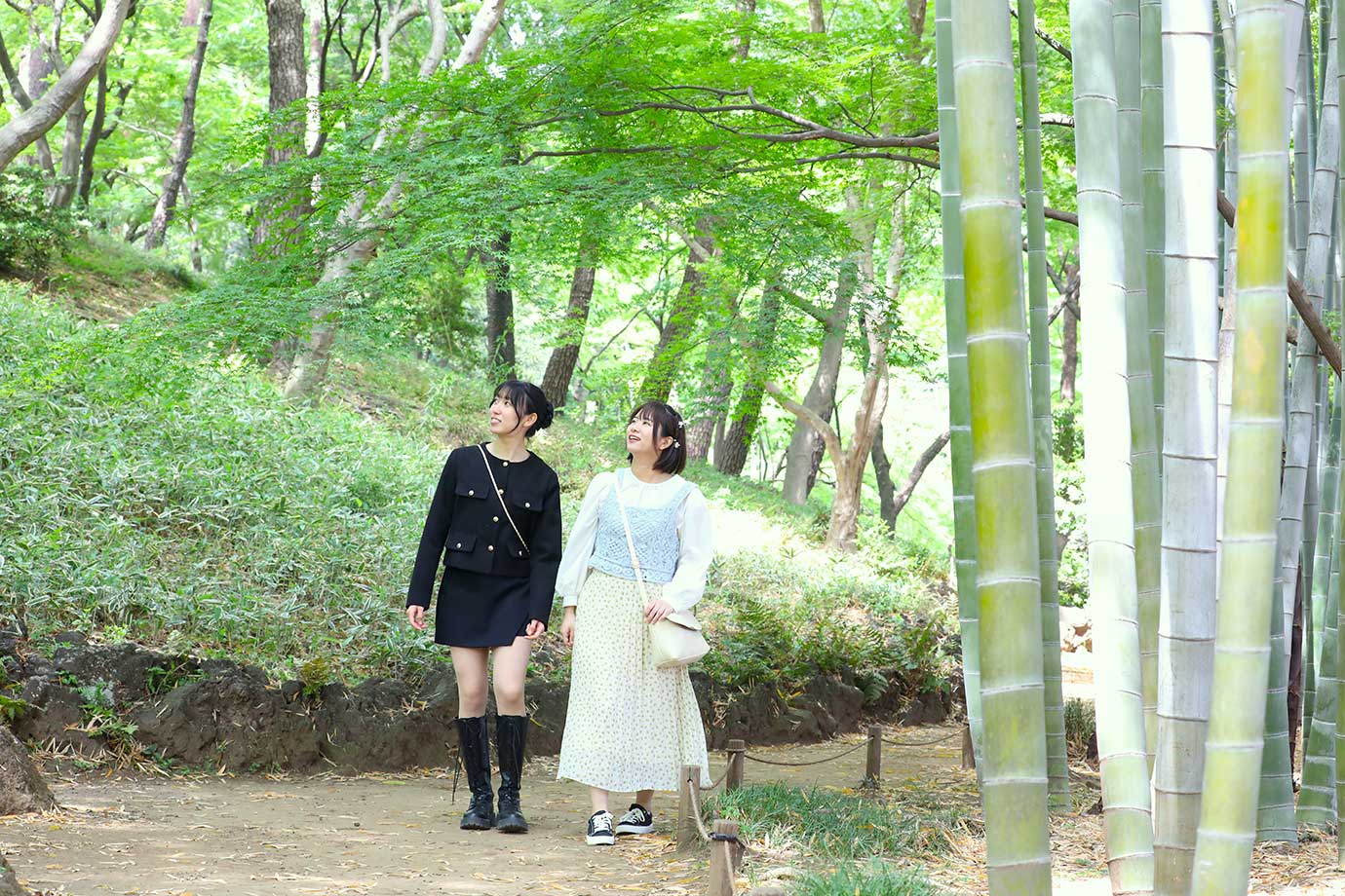 殿ヶ谷戸庭園