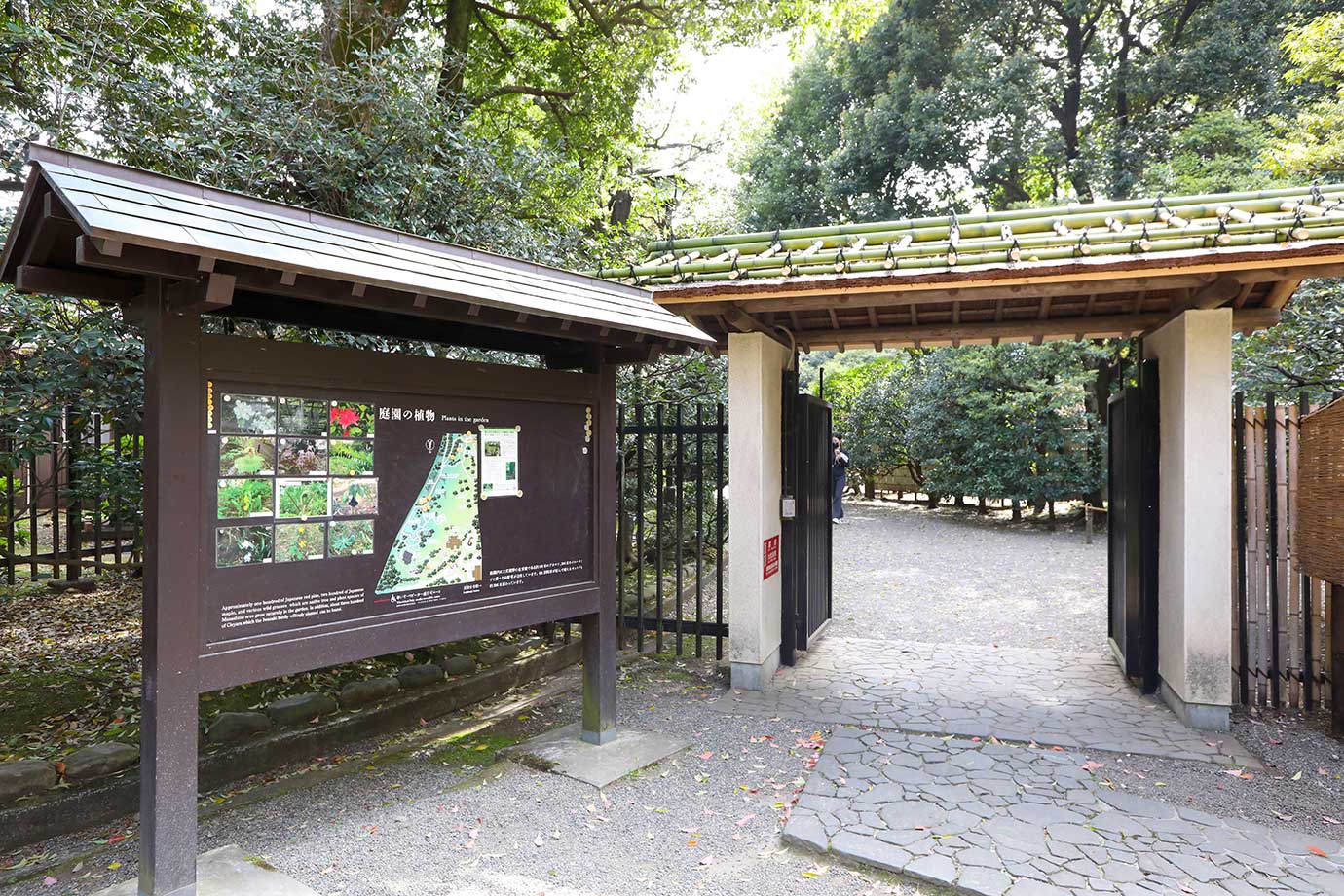 殿ヶ谷戸庭園
