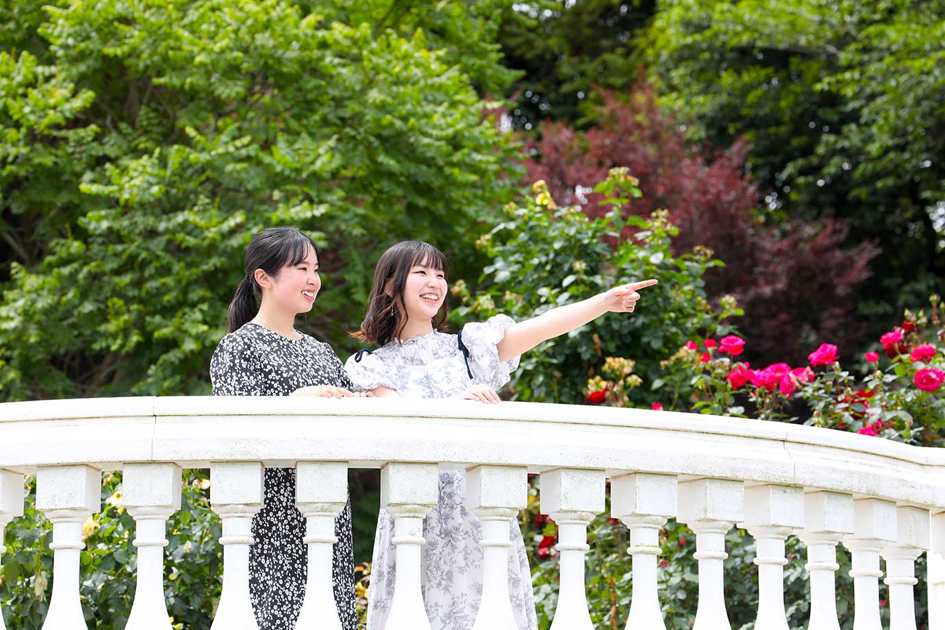 京成バラ園