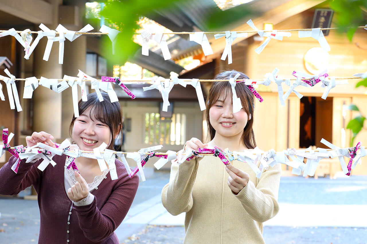 東郷神社のおみくじ