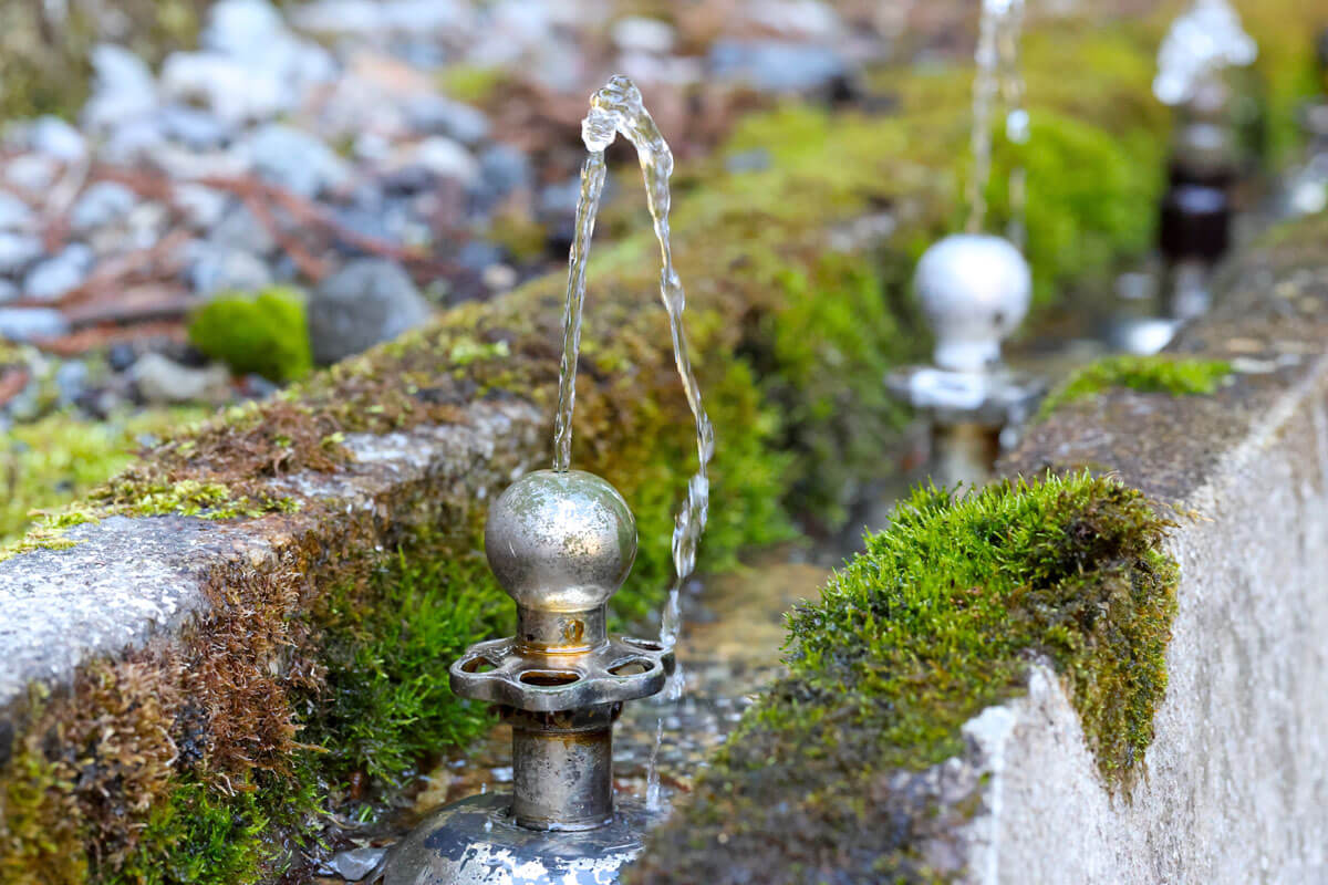 五重塔近くの水飲み場
