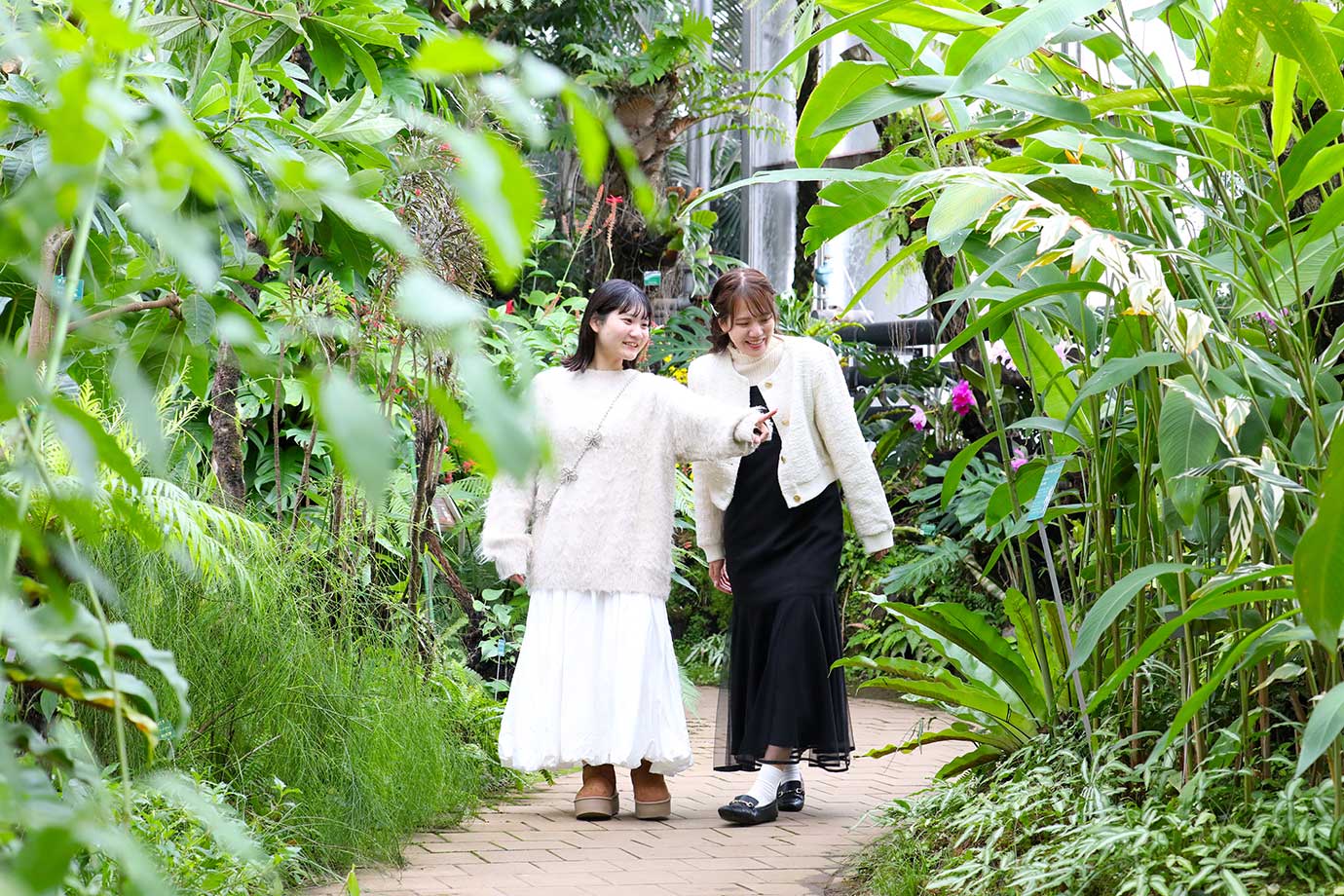 夢の島熱帯植物館