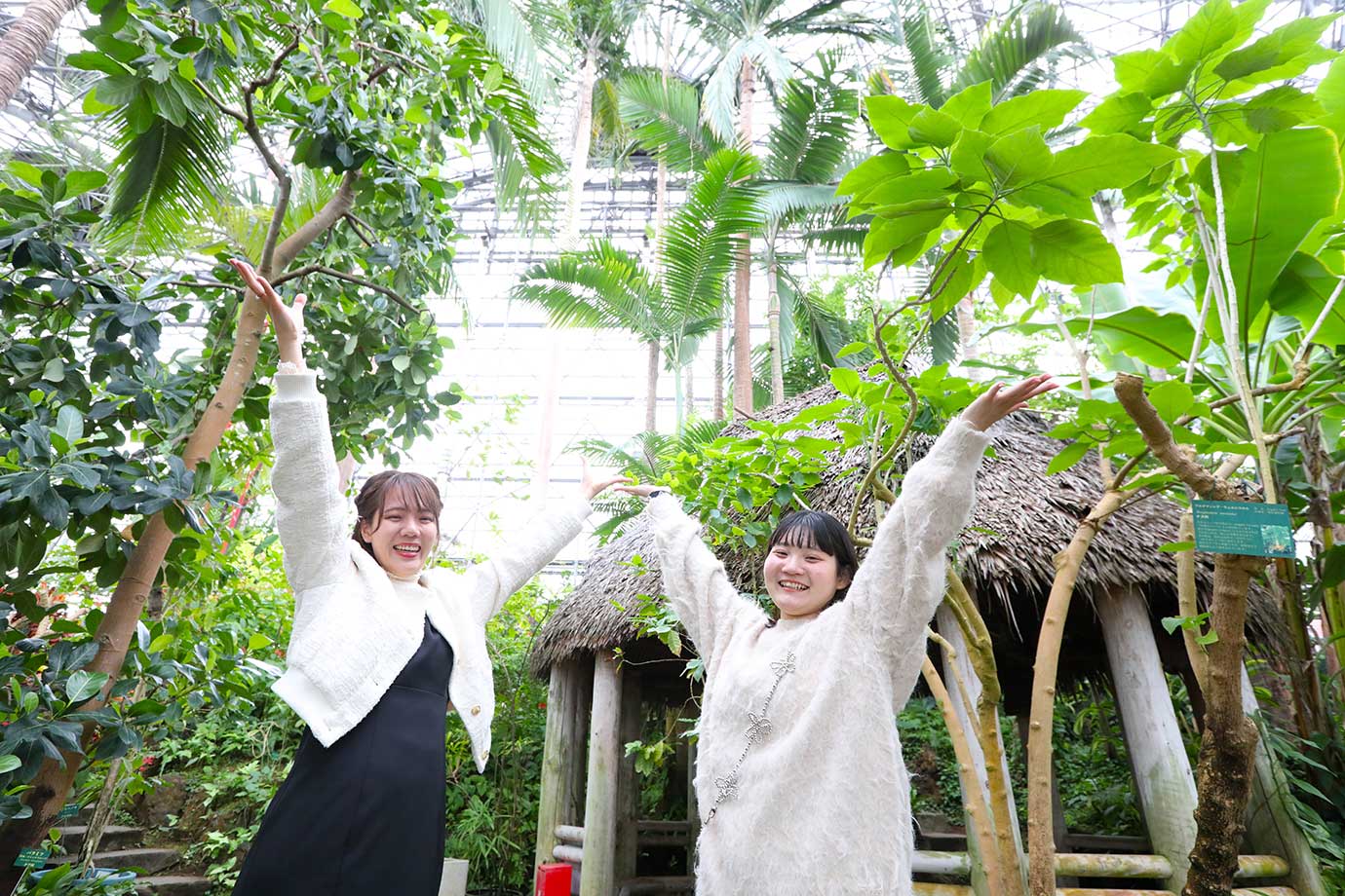 夢の島熱帯植物館