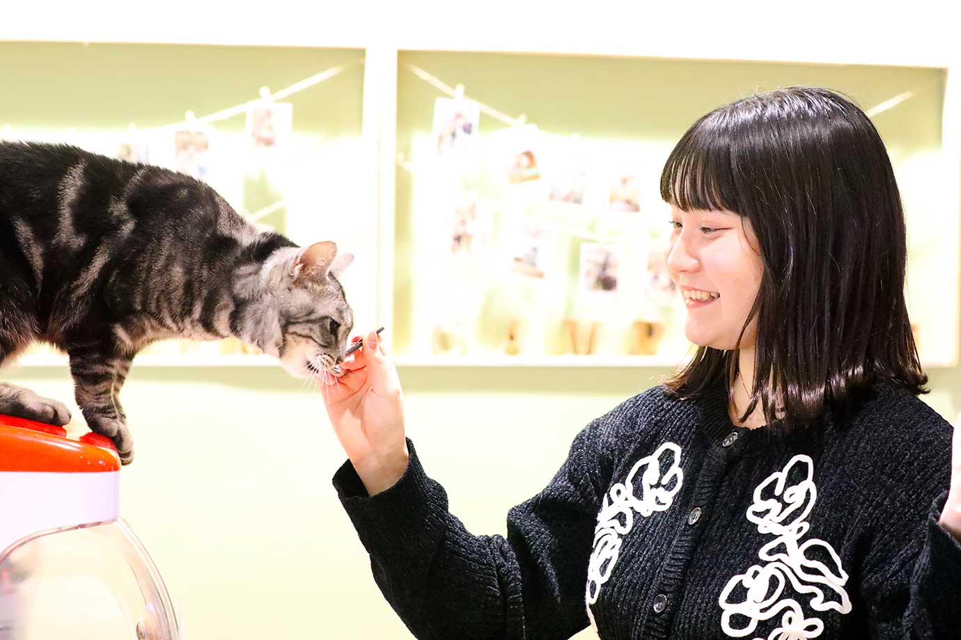動物たちが暮らす 森アニミル