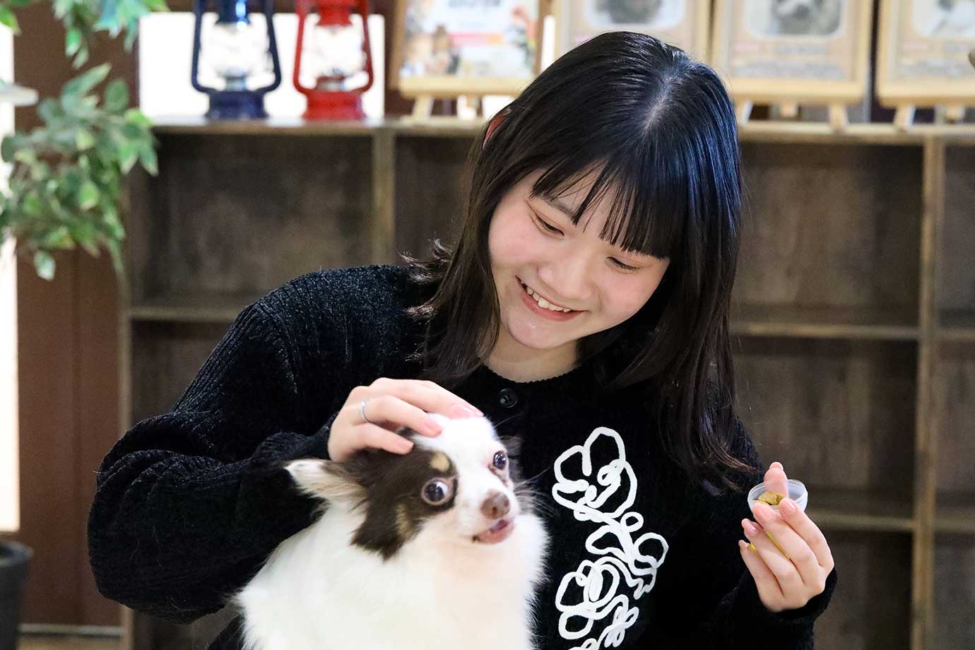 動物たちが暮らす 森アニミル