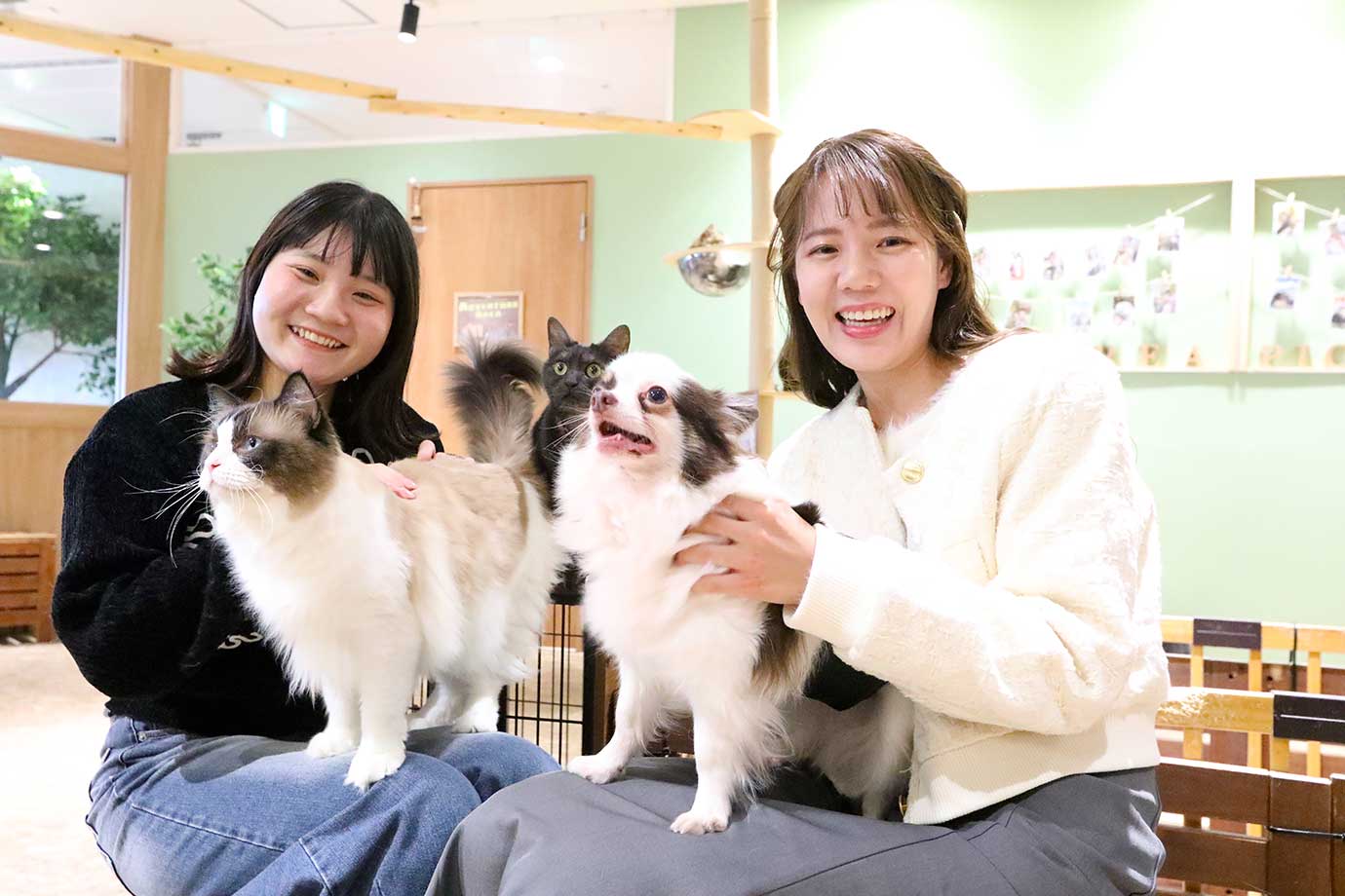 動物たちが暮らす 森アニミル