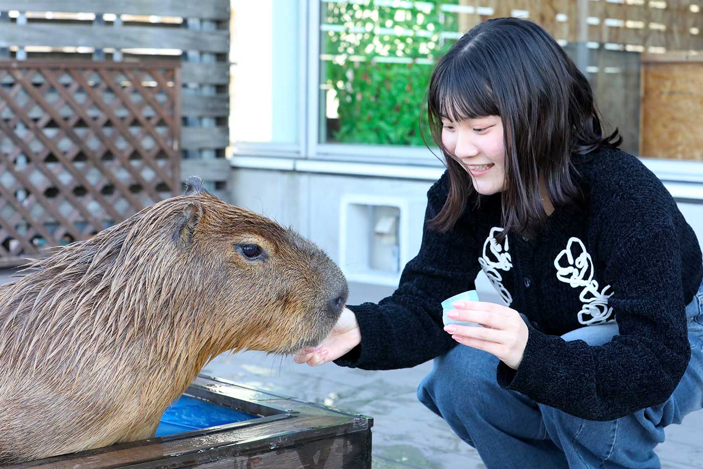 動物たちが暮らす 森アニミル