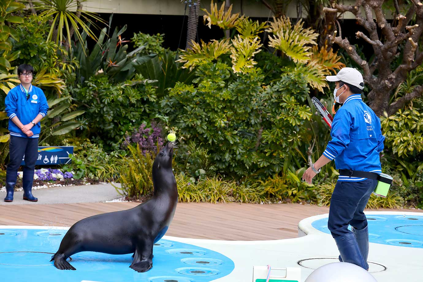 サンシャイン水族館