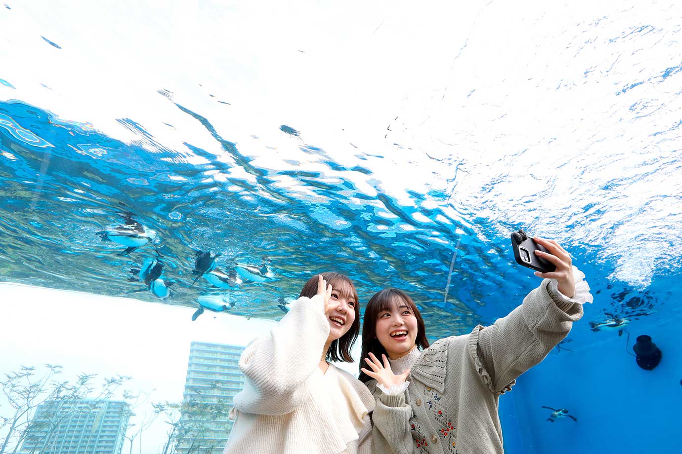 サンシャイン水族館