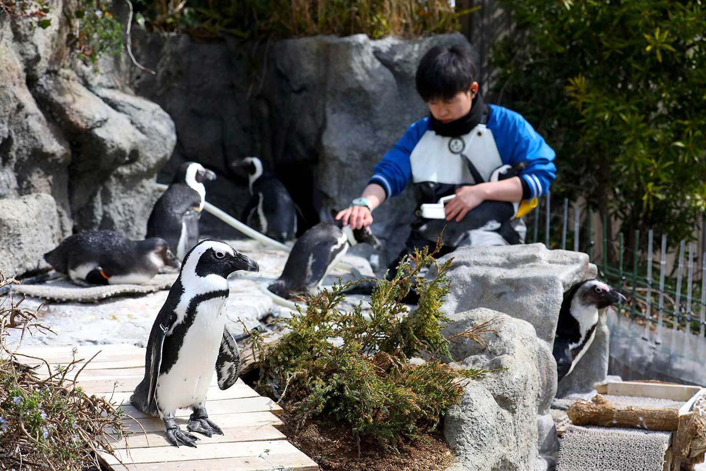 サンシャイン水族館