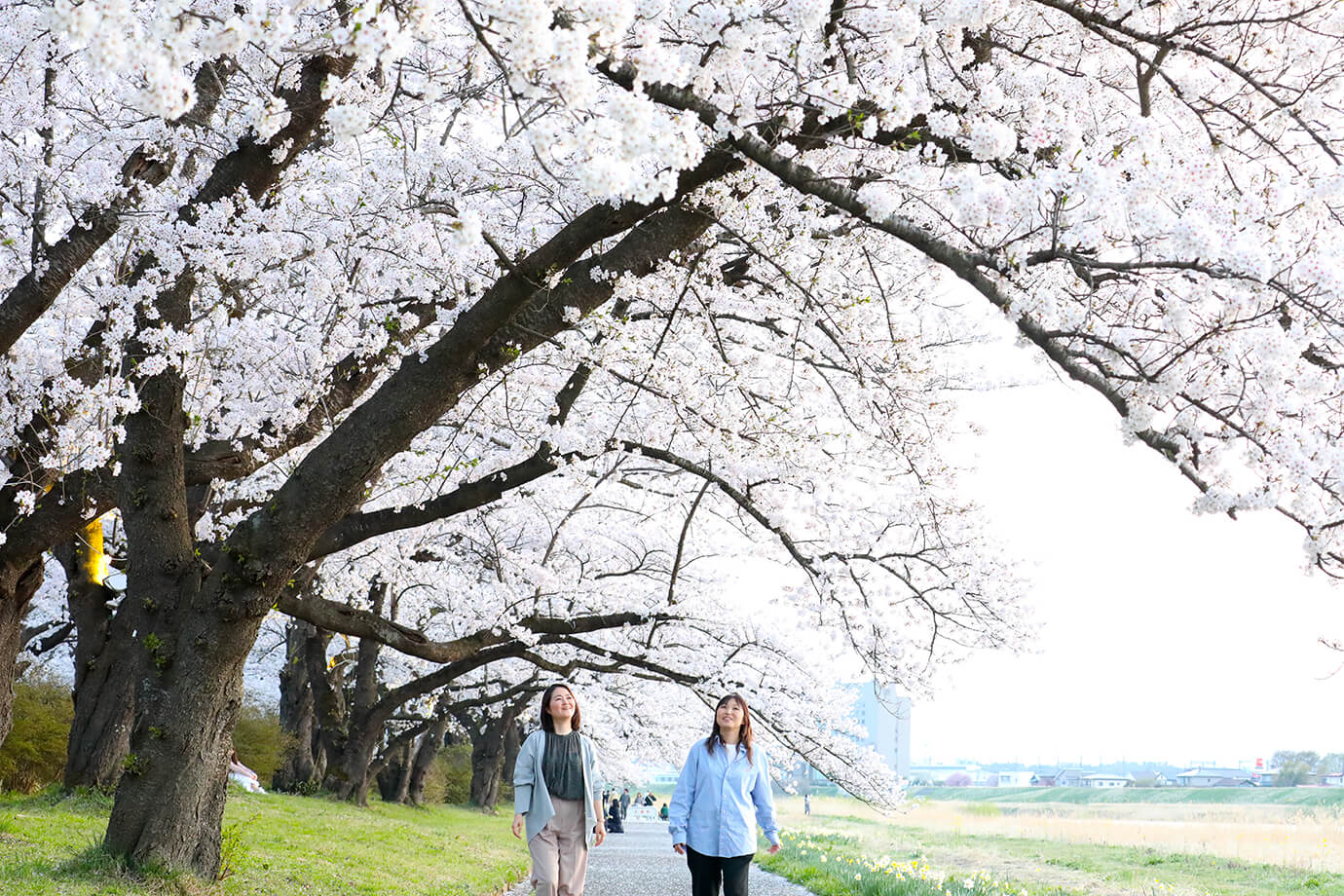 Kitakami Tenshochi Park