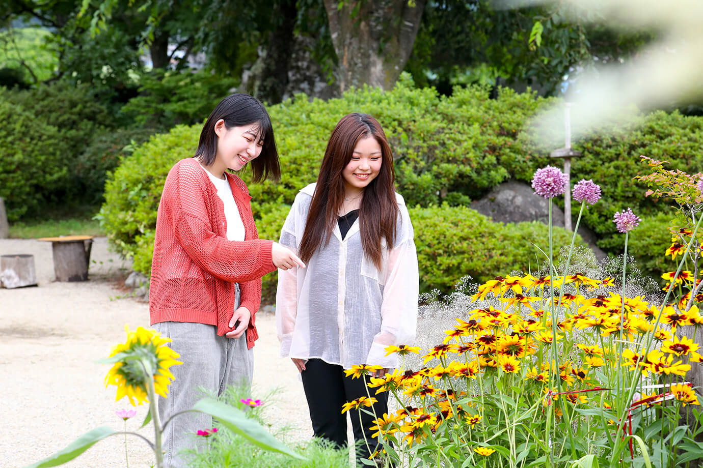 Tono Denshoen Park