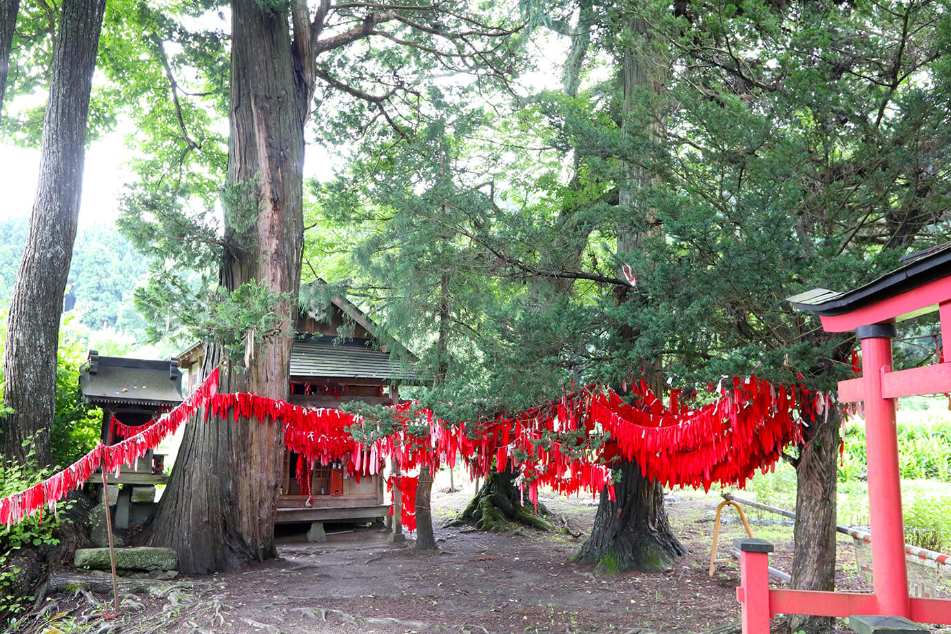 Unedorisama