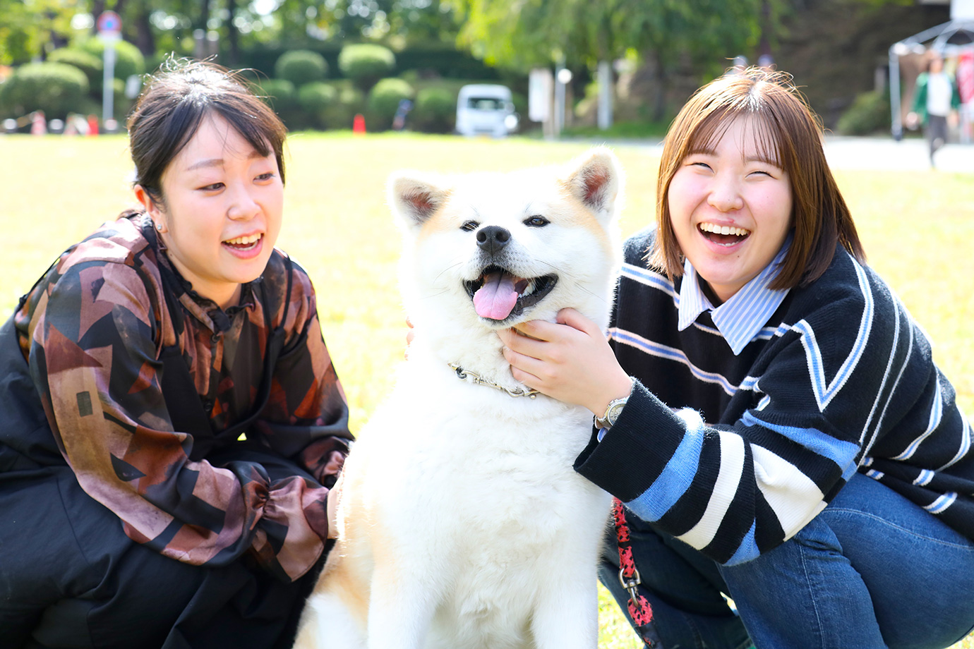 Akita Inu Fureaidokoro in Senshu Park