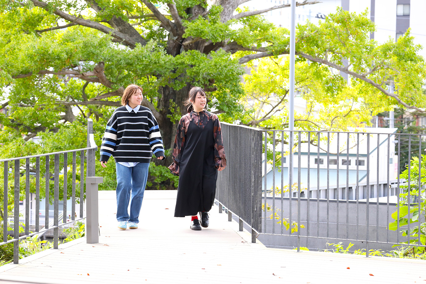 Akita Arts Theatre Mille Has