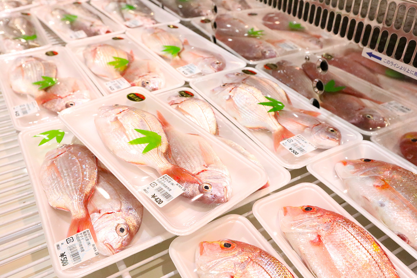 Roadside Station Oga Ogare