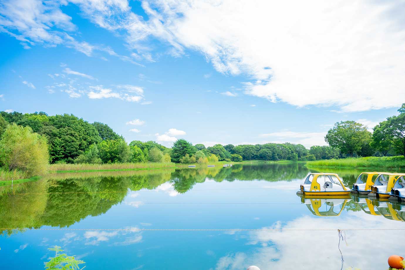 Showa Kinen Park