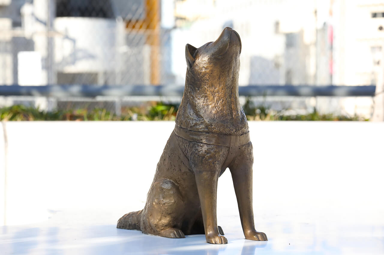 SHIBUYA HACHI COMPASS │ Hachi's Universe