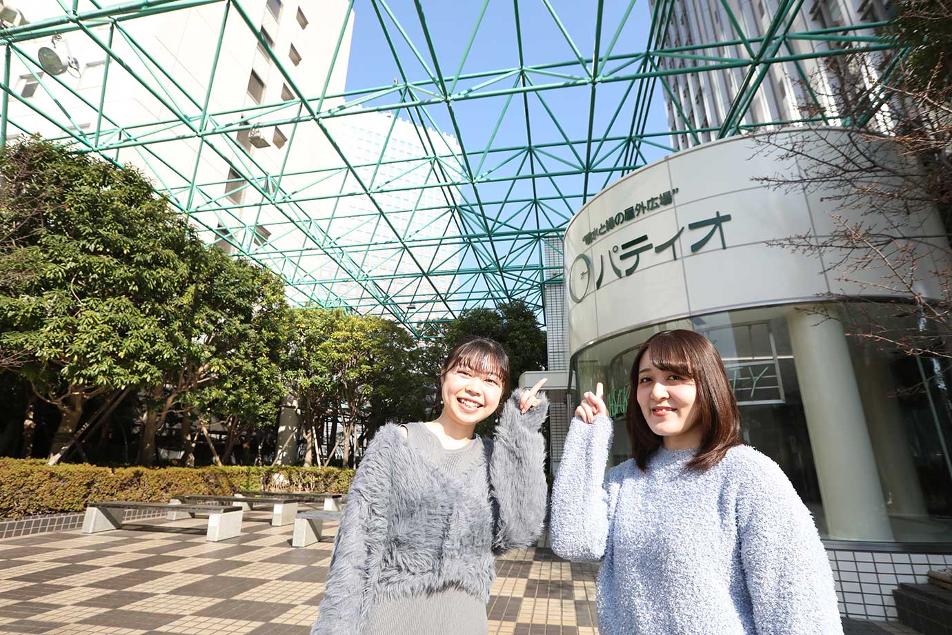 Ohsaki New City