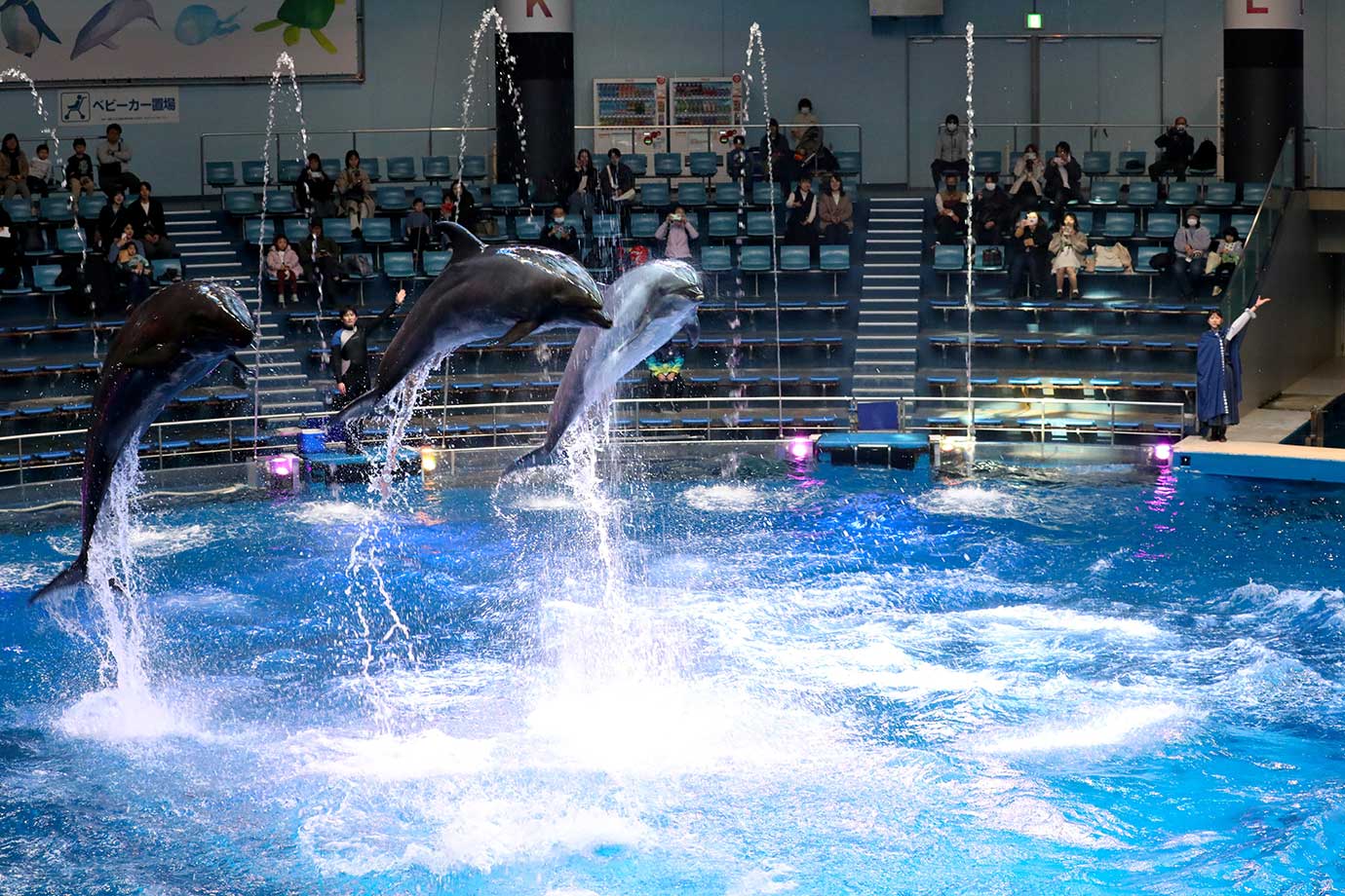 Maxell Aqua Park Shinagawa