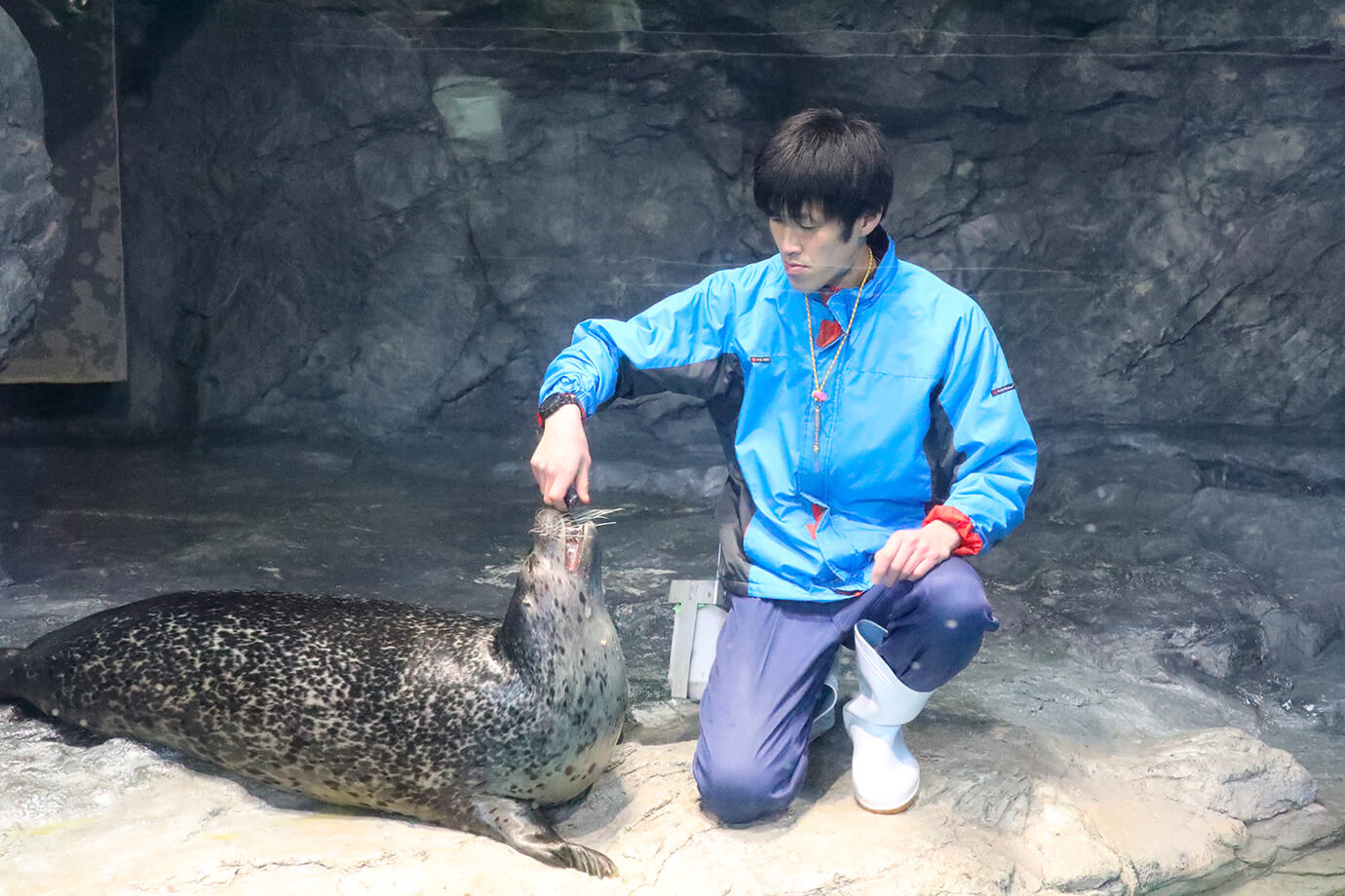 水上世界茨城縣大洗水族館