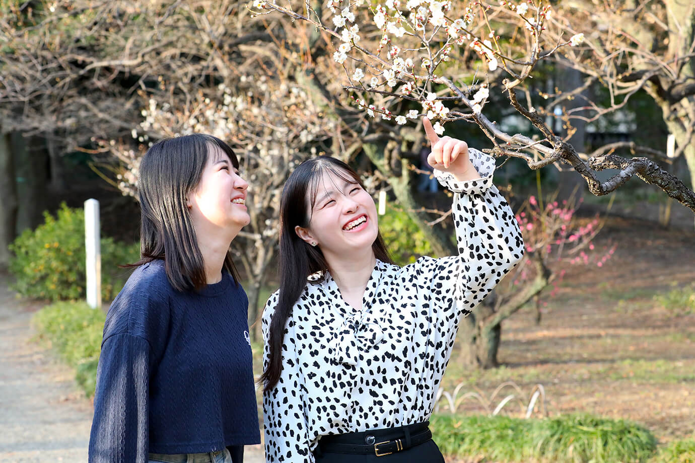 小石川後樂園