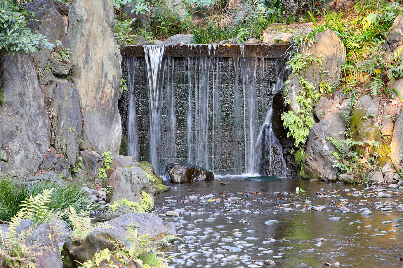 小石川後樂園