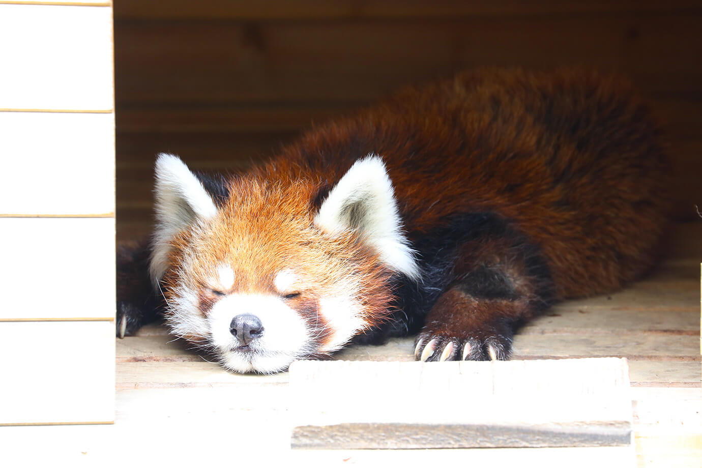 千葉市動物公園