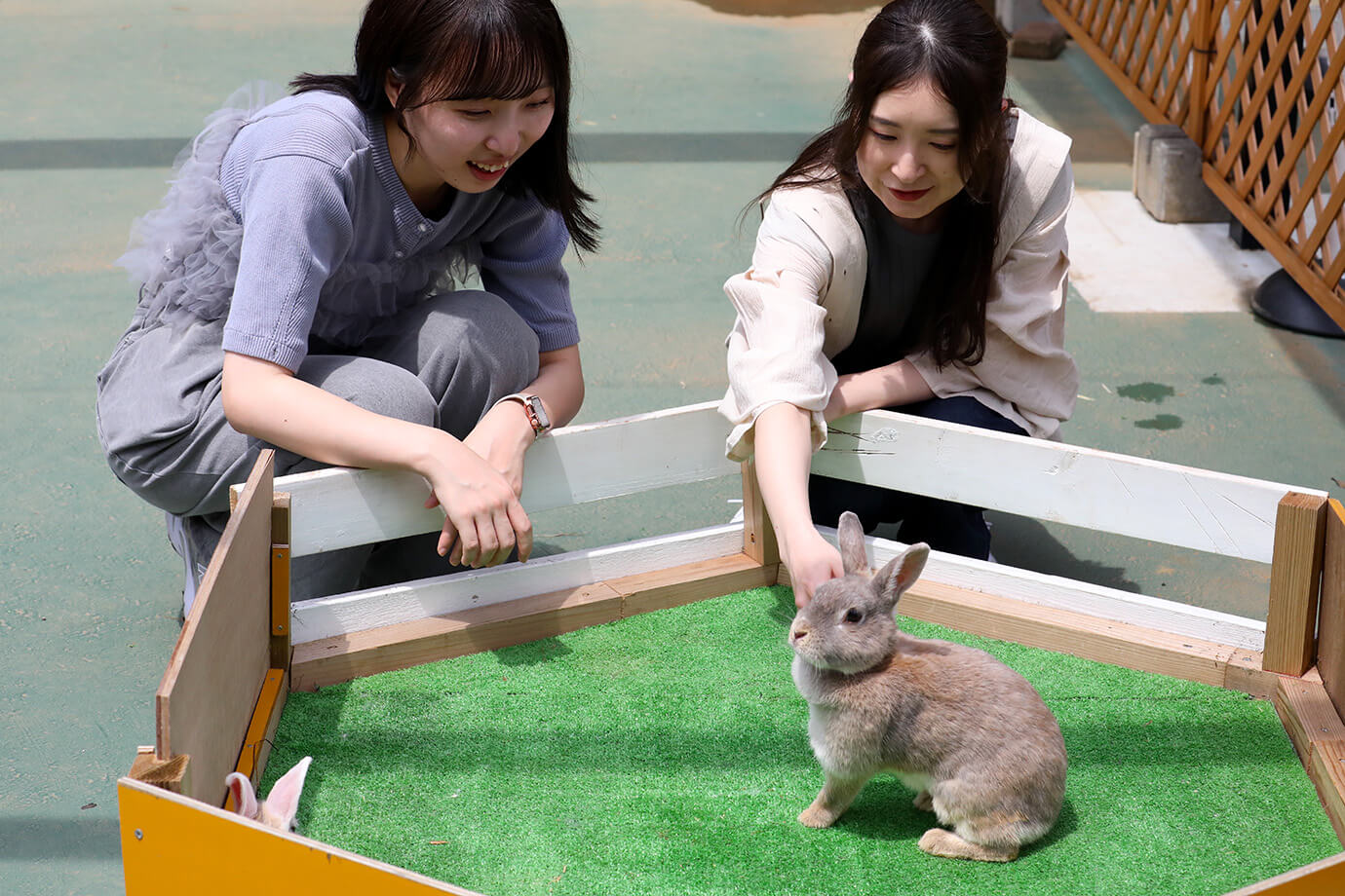 千葉市動物公園