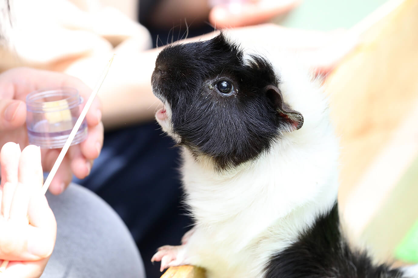 千葉市動物公園