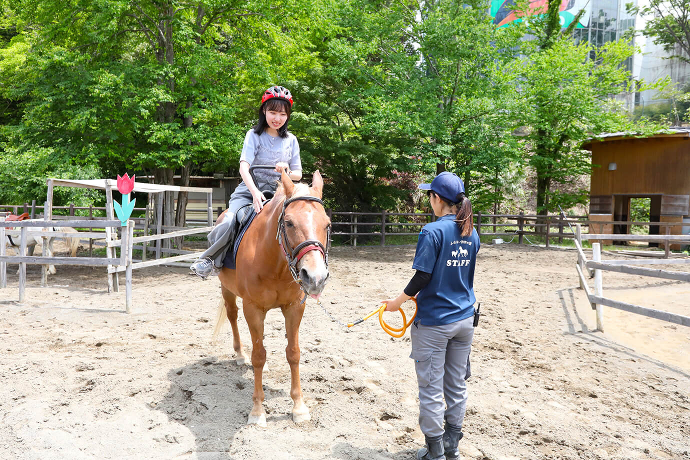 千葉市動物公園