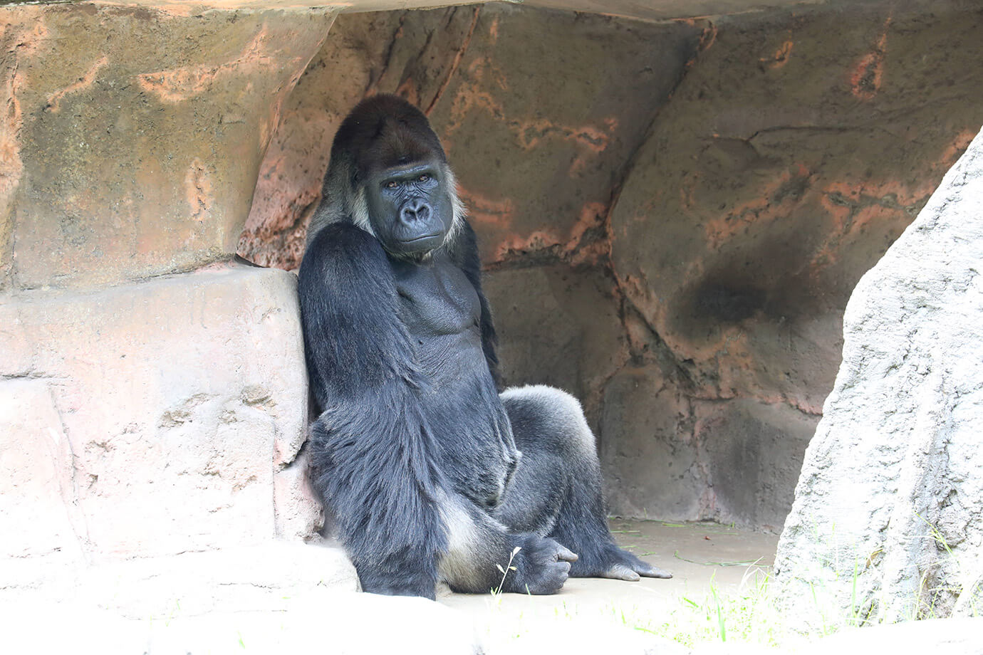 千葉市動物公園