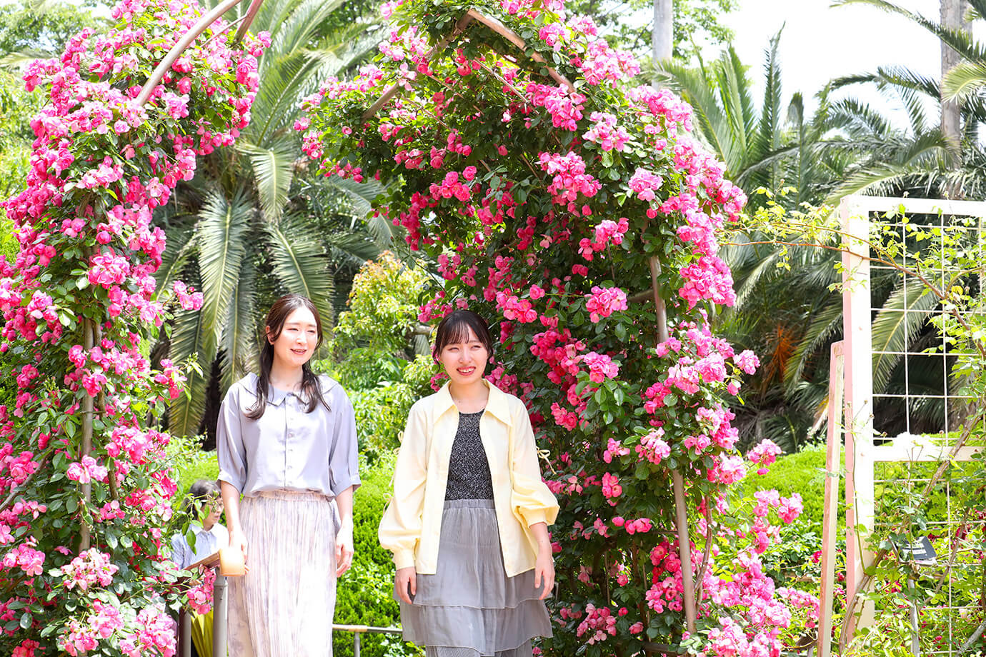 習志野市谷津玫瑰園