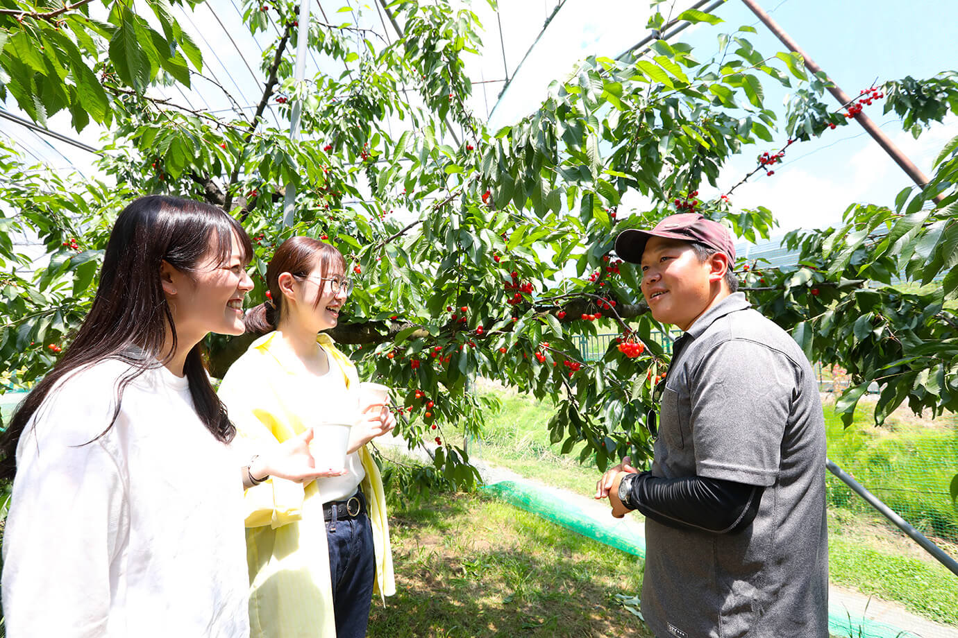 松田觀光果樹園