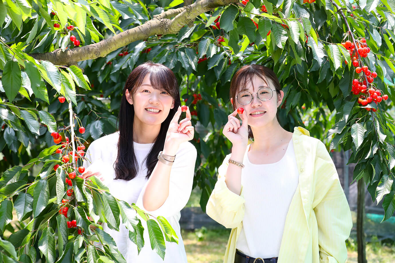 松田觀光果樹園