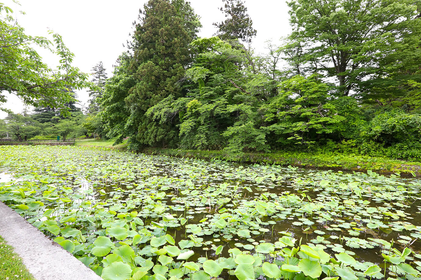 堀端SAPPORO