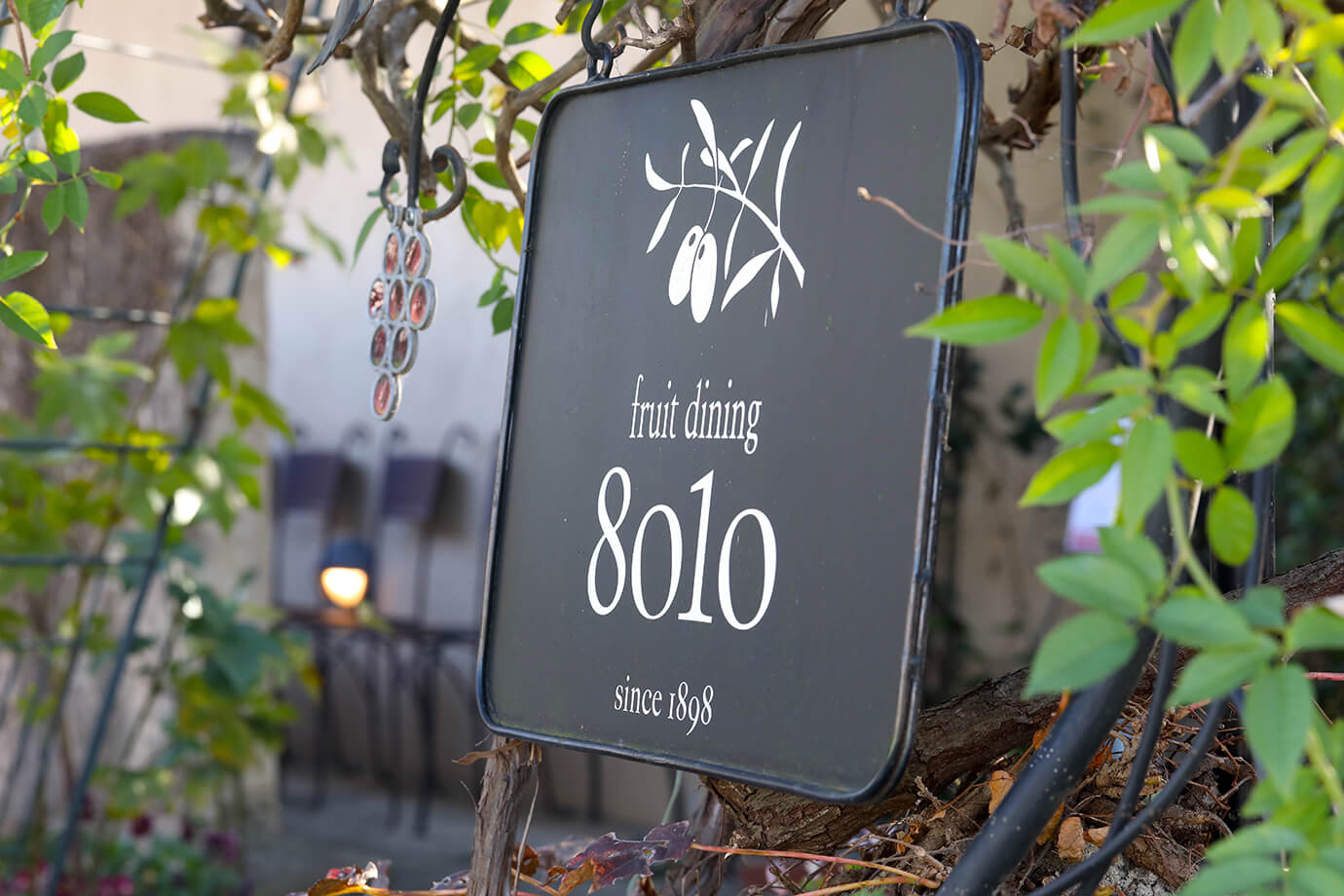 Fruits Dining Pallet (8010)