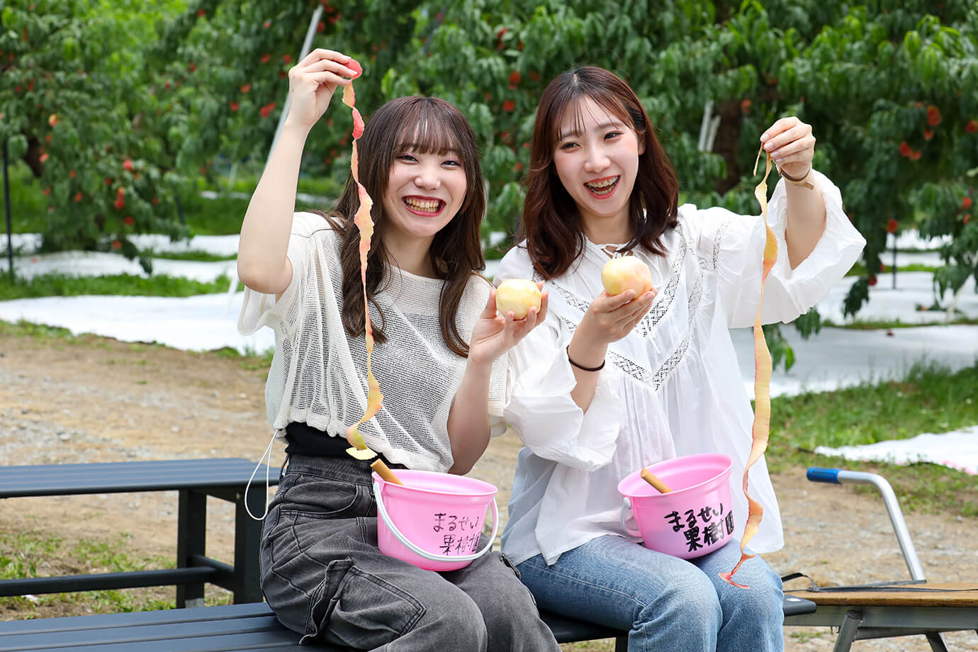 Marusei果園