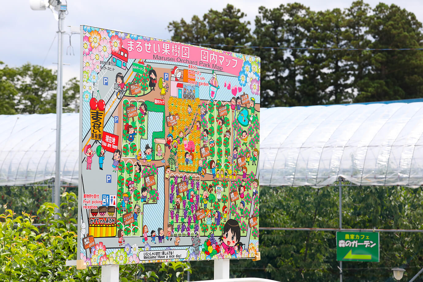 Marusei果園