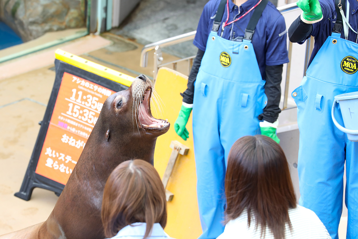 男鹿水族館GAO