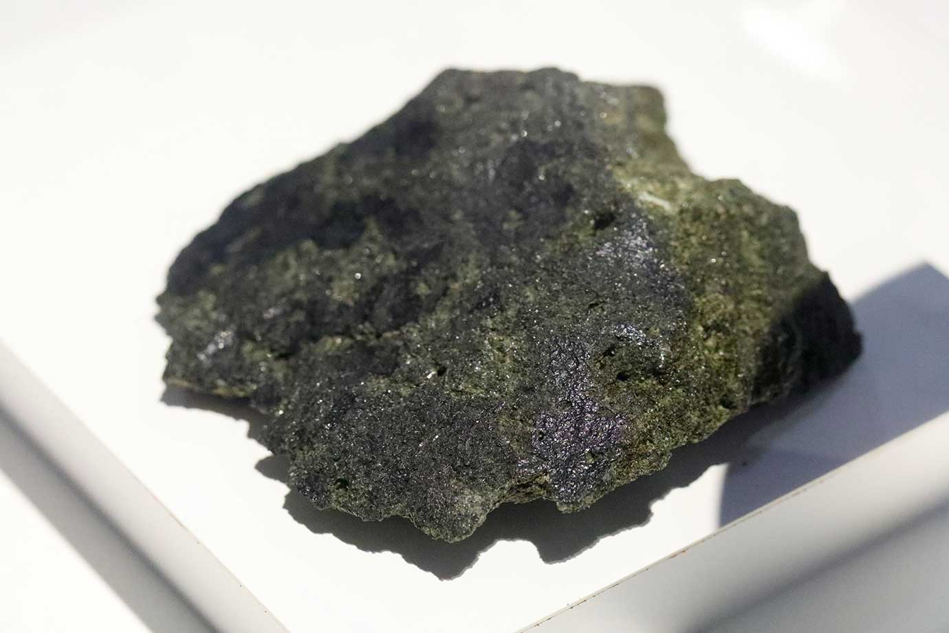 國立極地研究所 南極／北極科學館