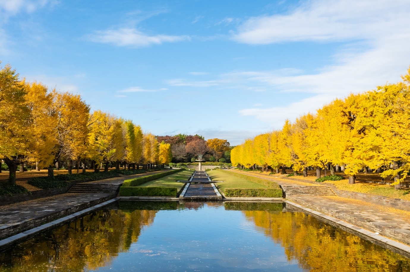國營昭和紀念公園