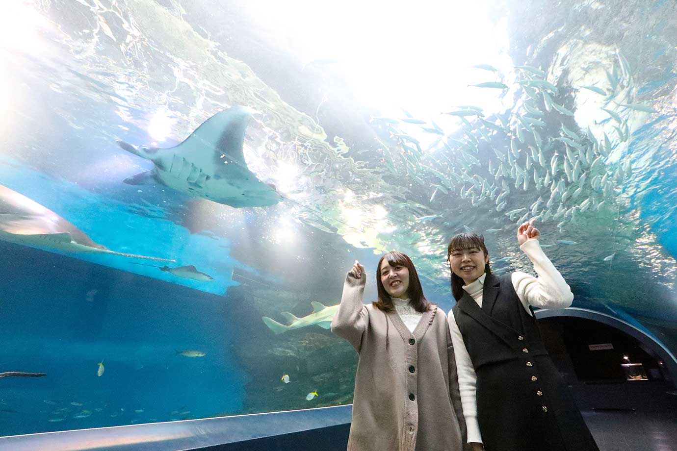 Maxell Aqua Park品川